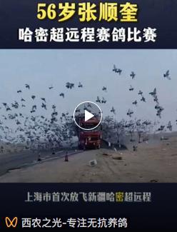 ���Կɳ� ��Ϯ�ɶ�