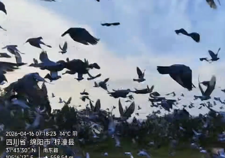 ��߷���2136 �Ĵ����ҹ��ﾺ������