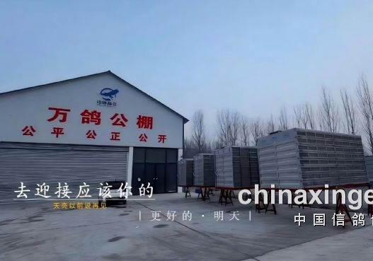 ���鲻�� һ�����������´��շ�վ