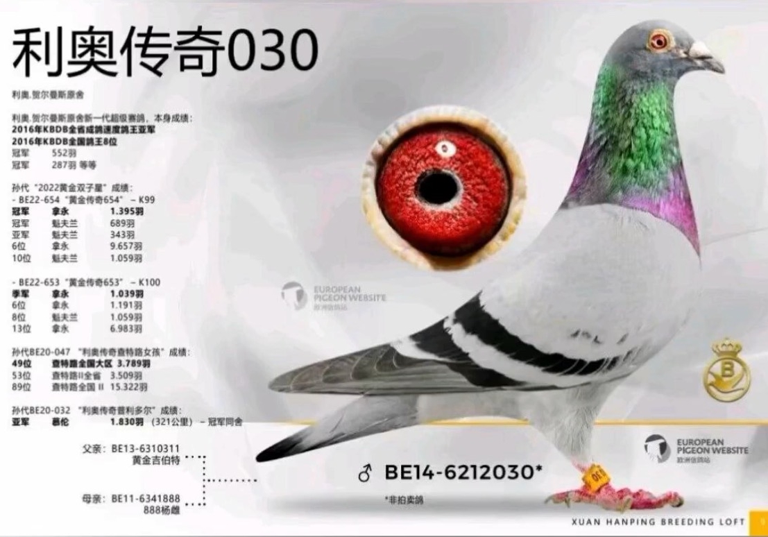 ����֮�� ���´���030ֱ��XֱŮ