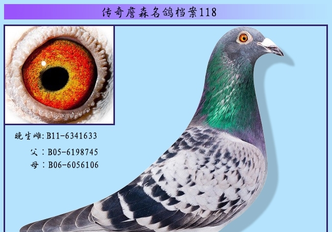 ղɭ���뵵��118��������633
