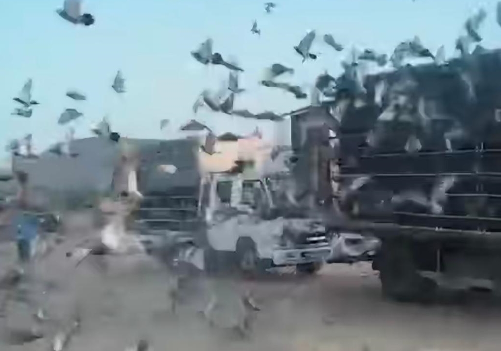 800�����ԭ��ƴ ���ݹ�����˳���ų�