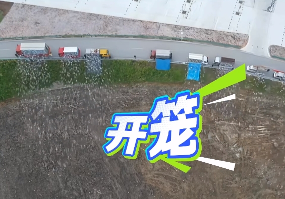 ��ǧ����ʿ���� �人��������Ѫ������