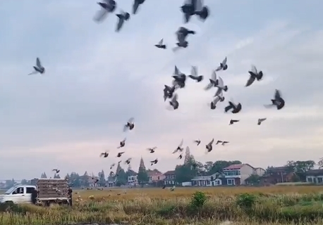 �����ɹ��鳲 ƽ��ɽ��վ���ھ�����