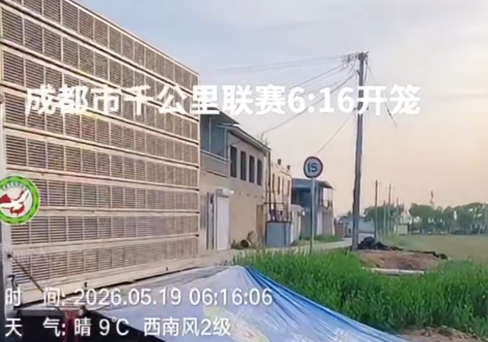 ������սǧ���� �ɶ��Թ�ͬ��˾������