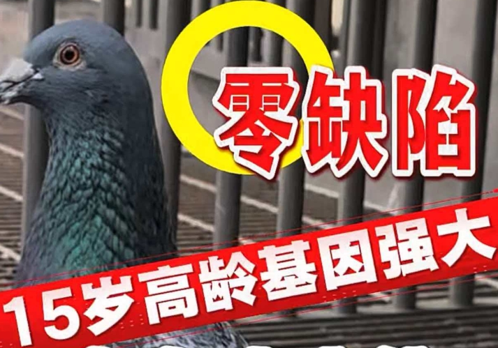 ����ȱ�ݡ�ֱ���������������۷壡�Ӵ�������������