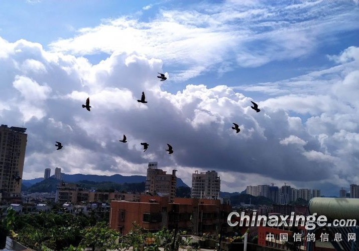 �ҷ�һ�첻����2Сʱ��