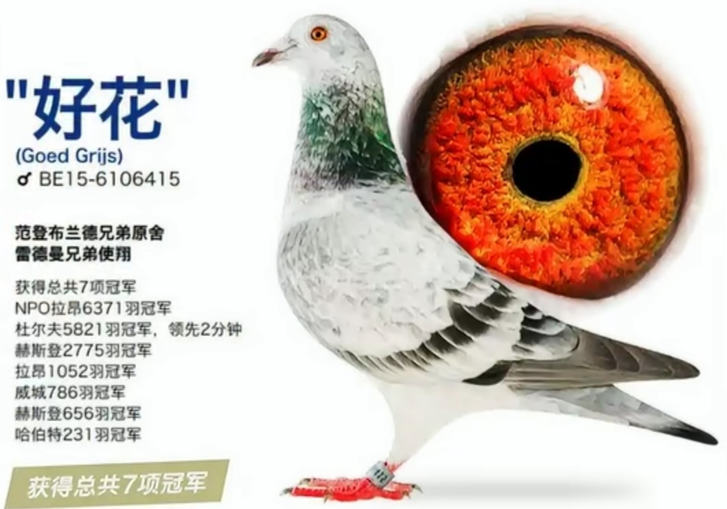 7�ڼ��ᣡ���һ��ı���ơ��û���