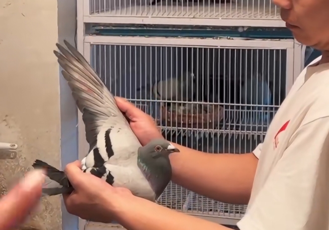 �׸����7������磿���չ�н���ѷ�����������ĵ�