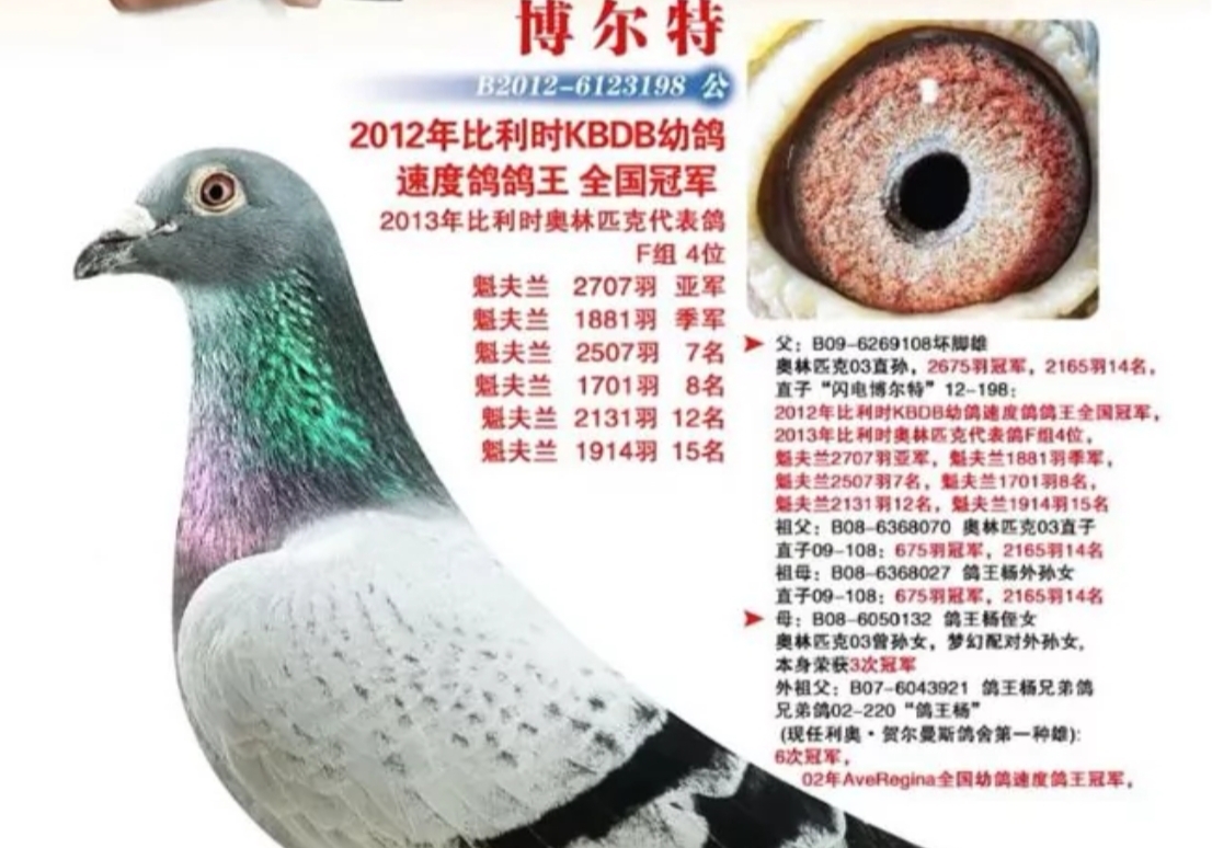 ����˫˫�ĳ��߼� �ٶȴ��桰�����ء�