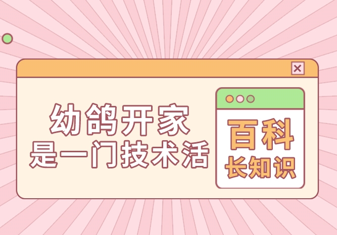 �׸뿪����һ�ż�����