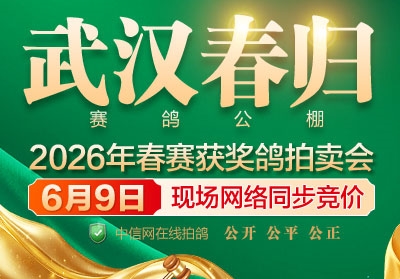 ����8��Ҳ�Ǹ����ܹھ� �人������������������