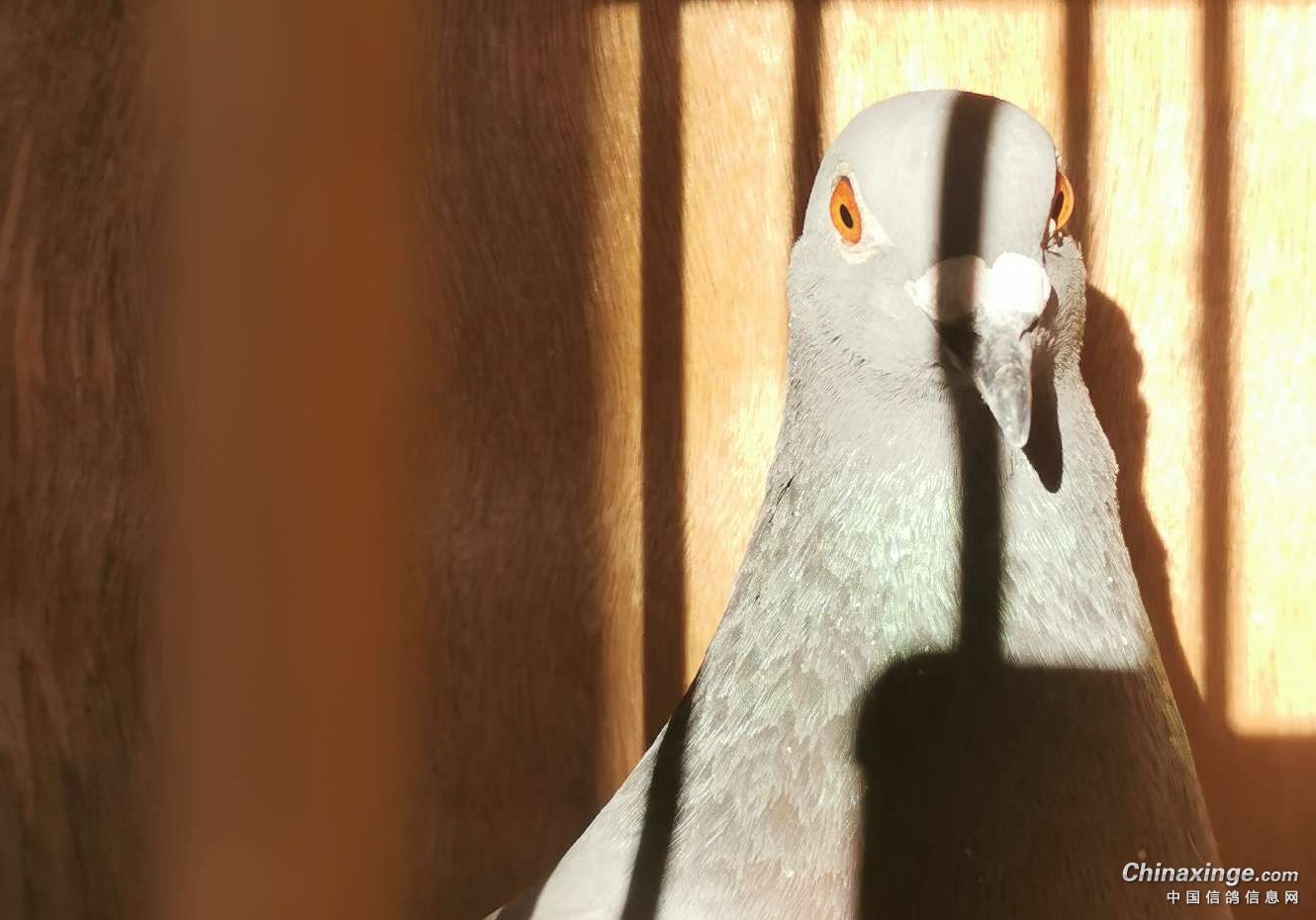 ���¸�ʪ��Ϯ ���뽡������ָ��