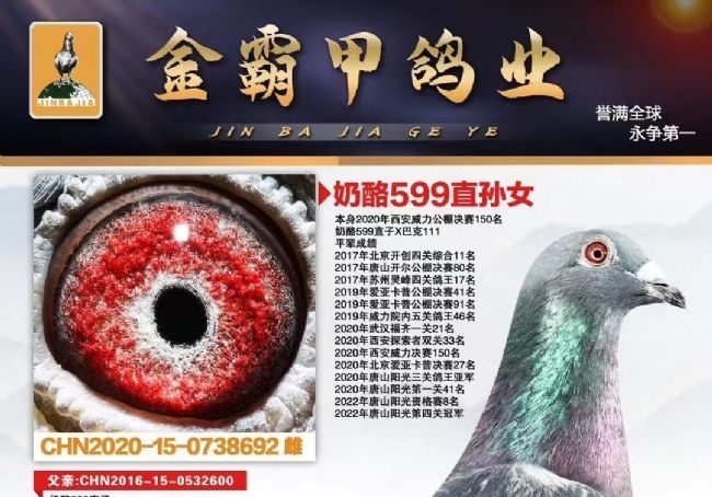 �����Ҳ��ȿӣ��׸볤������ȫ���