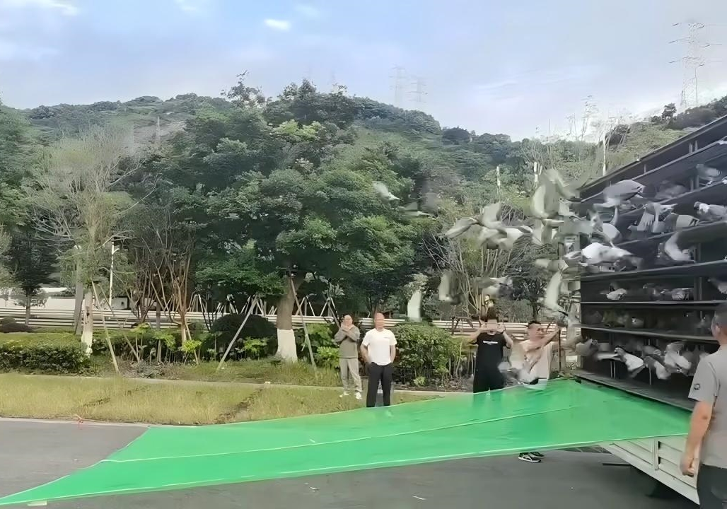 Ȫ�������ײ��߳� �ļҾ��ֲ���ǧ������տ���