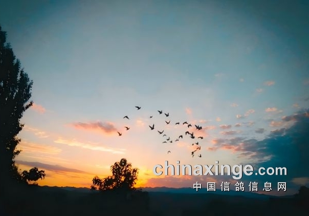 ˵�����㲻һ��֪������������