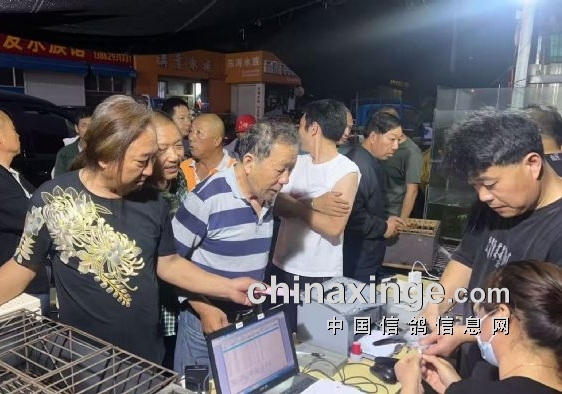 ����������Զ��Ϊɶ���ڸ������¿���