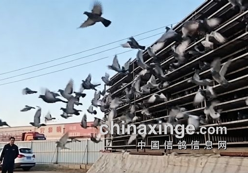 ����³����ǧ��ʿ�����ع�