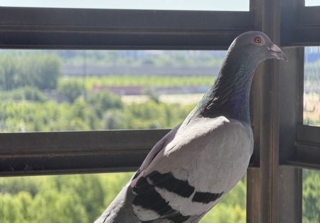 ����֮�Ҽ����ײ˼���ø���ʵ�