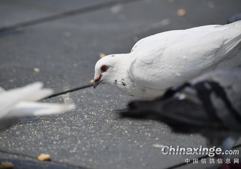 ���ս�ĸ��α��֣�ֱ��Ů����