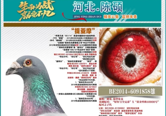 9�ιھ������ؿ����������������塱