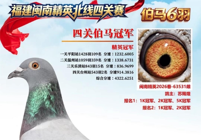 �д�����Ĳ����� �������Ͼ�Ӣ��������