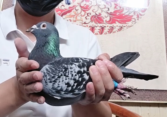 ���Ƴ��棡����ʵսǿ�� �����������Խ��Խ׳