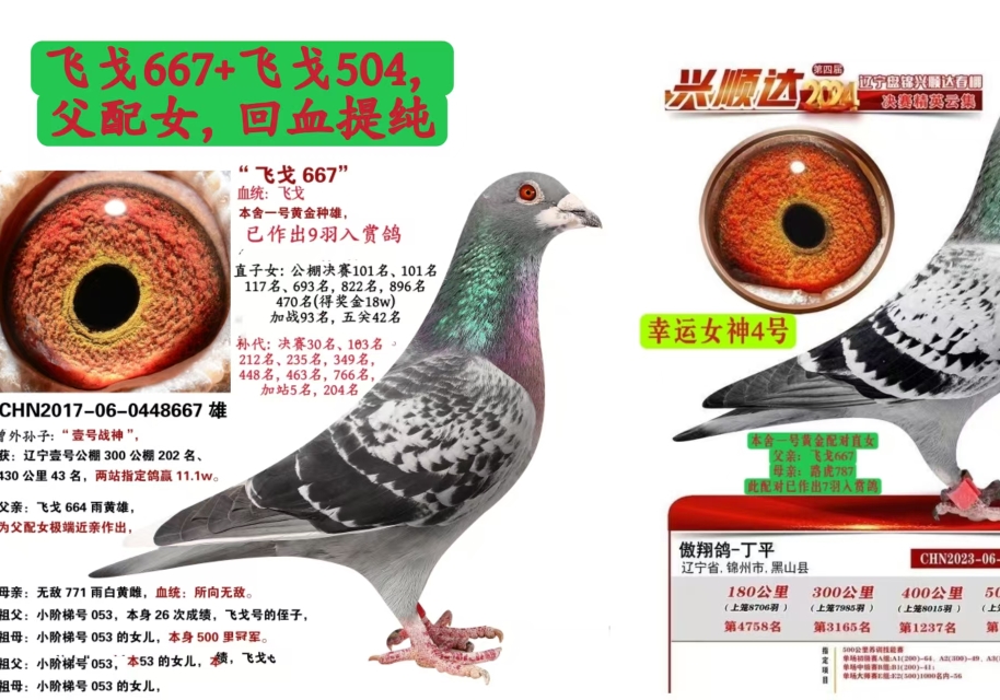AI������������Ѫ��©������Щ��