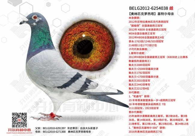 ���ǲ����뺣��Ѫϵ���� ����������