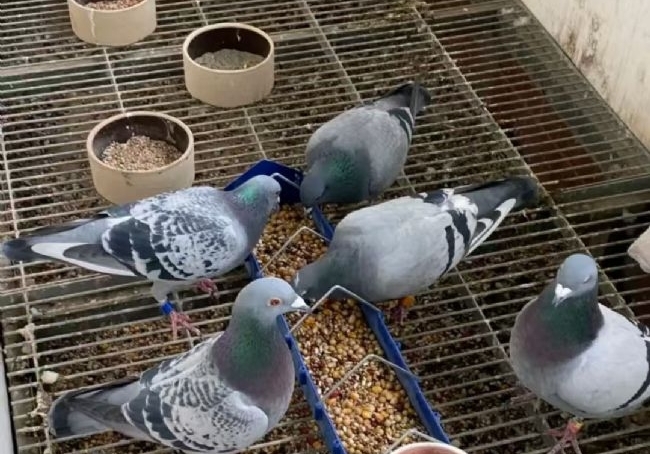 �Ƹ��������� С���Ժ��޵�����