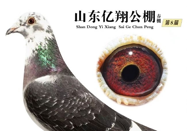 ǳ̸���䷽���䷽