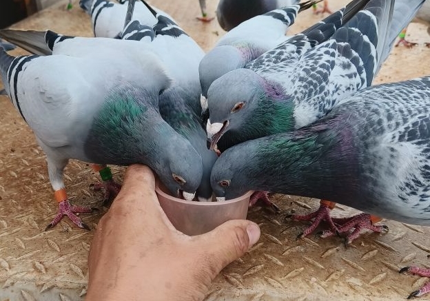 ��ʹ���� �����ἰ��