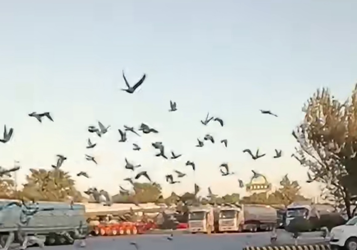 ǰʮռ���� ʵ���ŶӰ԰��ָ���ʸ���