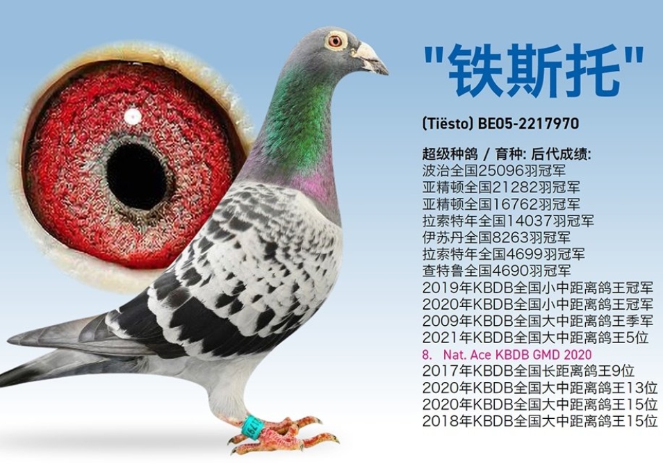 �ھ���Ӯ���ˣ�����һ��Դͷ�ֹ������ߴ�