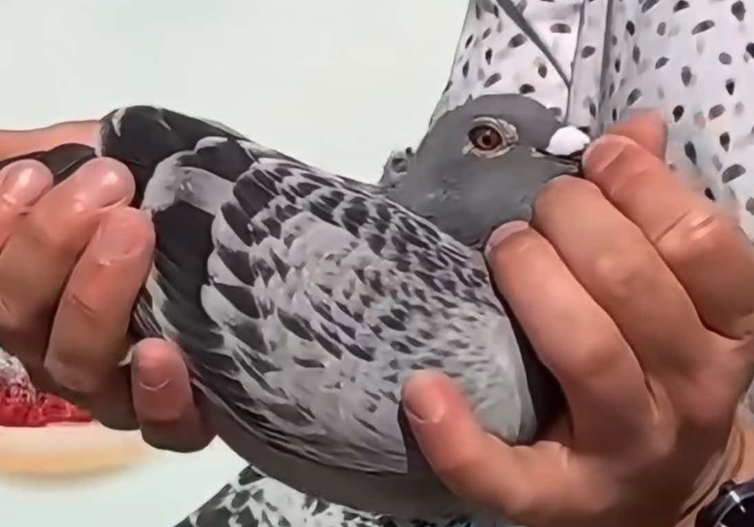 ������ȫ�����������᳤�������ǰʮ