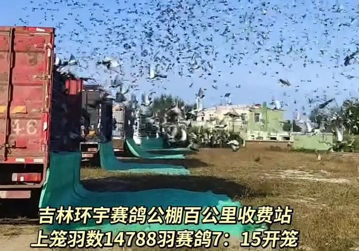 ����ʡ������һǹ ����һ�����շ�վ����