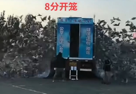 ����������������ر��׹ؽҰ� �߳��и�
