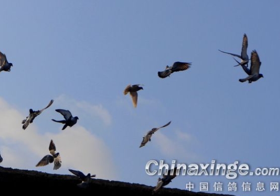 �ҷ���Сʱ ��������ʲô��