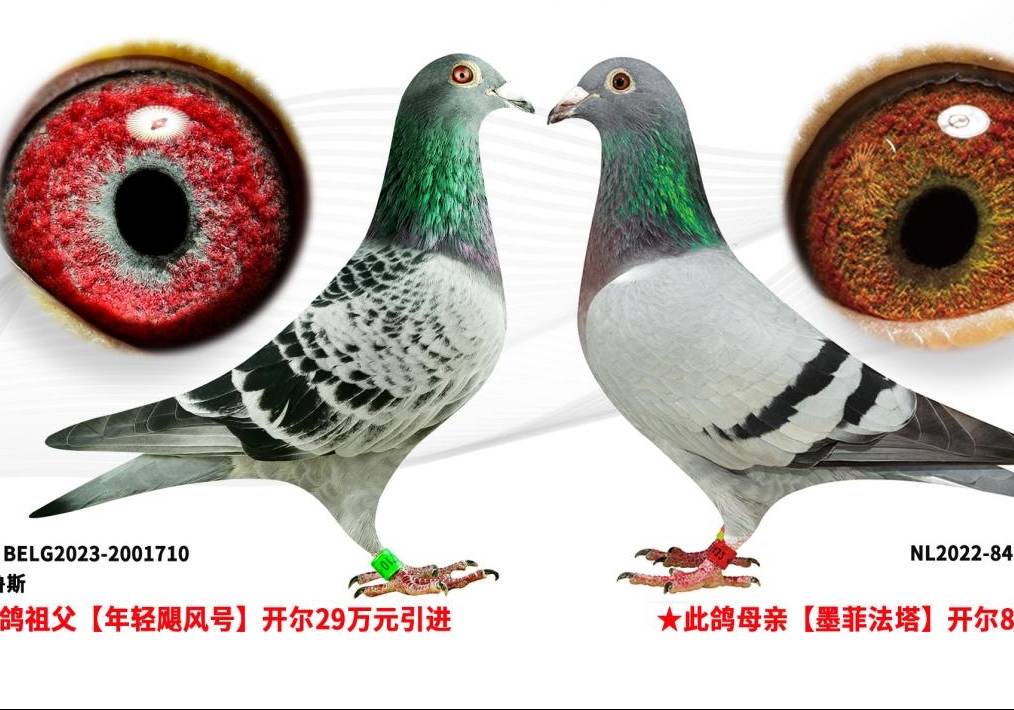 ���������ɳ����λ� һ�ٰ���ǰ25λ