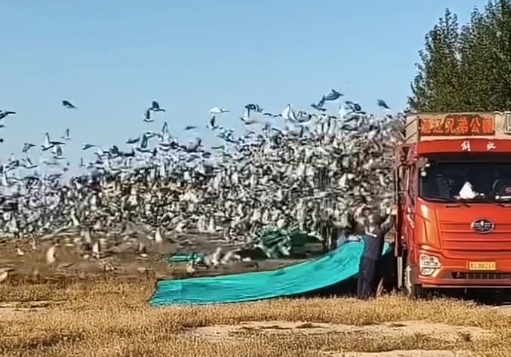 ���������������ࣺ1.7�������ɷ���