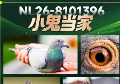 ����һ���ȫ��֮�ۣ������ư����յ�
