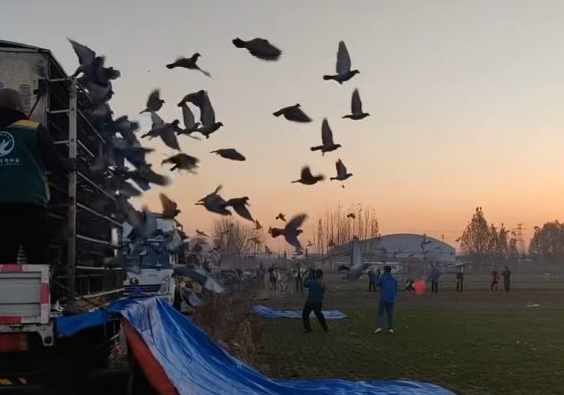 ���ӻ������ �����ѵ�Ž������