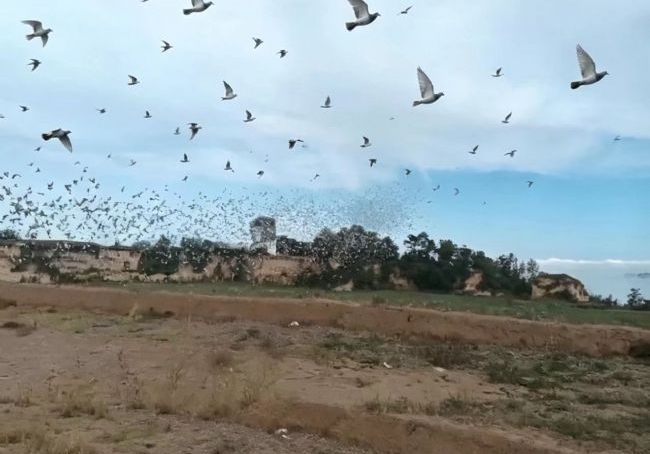 ������������Э��һ����ǧ������������