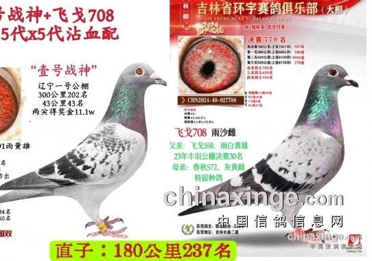 ���ֿ�����һ�����ֳɹ���һ����⡣