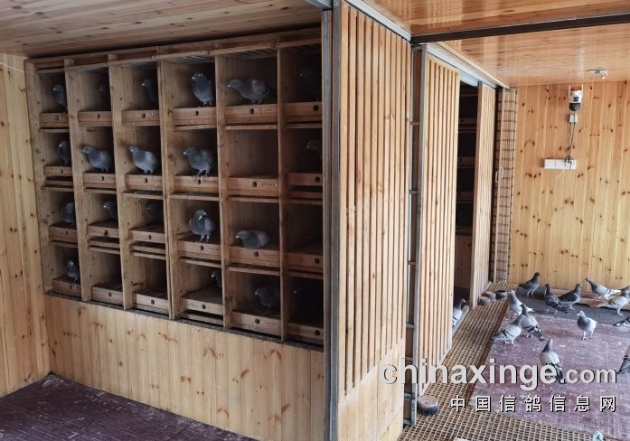 ������岻�ɾ������������ȫ����