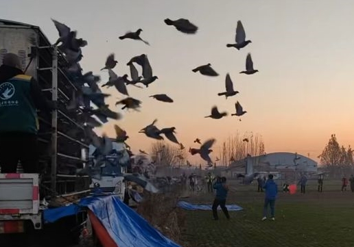 ��˳�粻�����÷� ͬ�����ڶ�������
