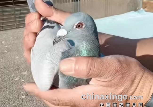 �׹عھ��ٶ���ص�� ���Ҹ���������