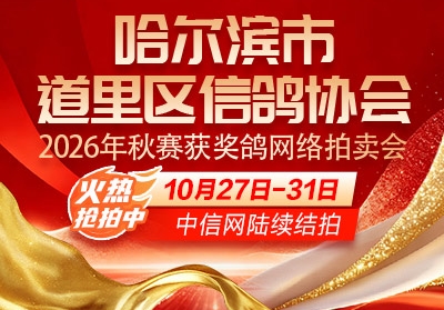 �����ܷ����裡�����������ظ������ȿ���