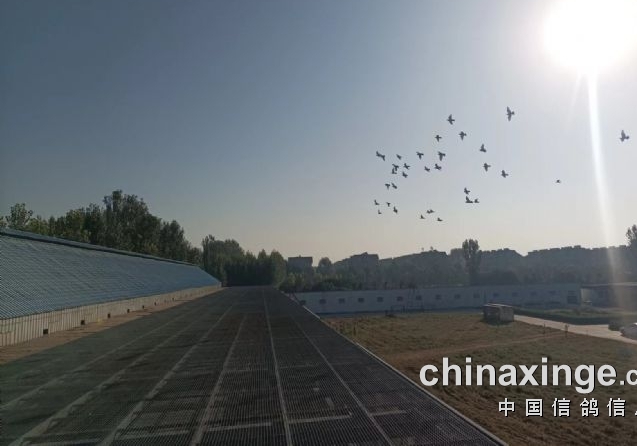Ϊʲô�Ϸ�û����Ԫ�