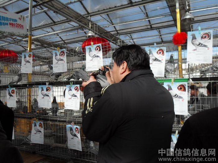 宝眼乾坤-玉缘宝鉴\/极品黄金手\/宝眼乾坤txt下载